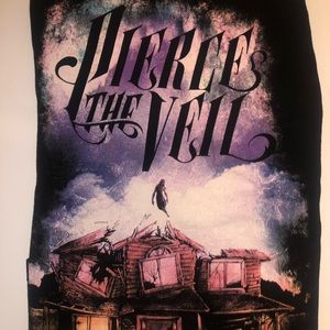 Pierce the veil collide with the sky merch